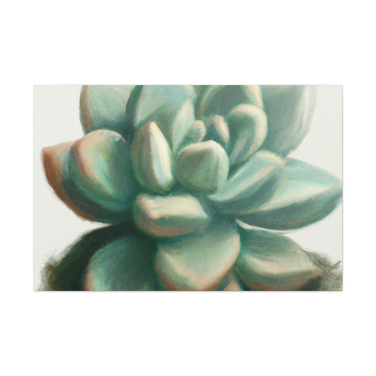 Succulent Serenity